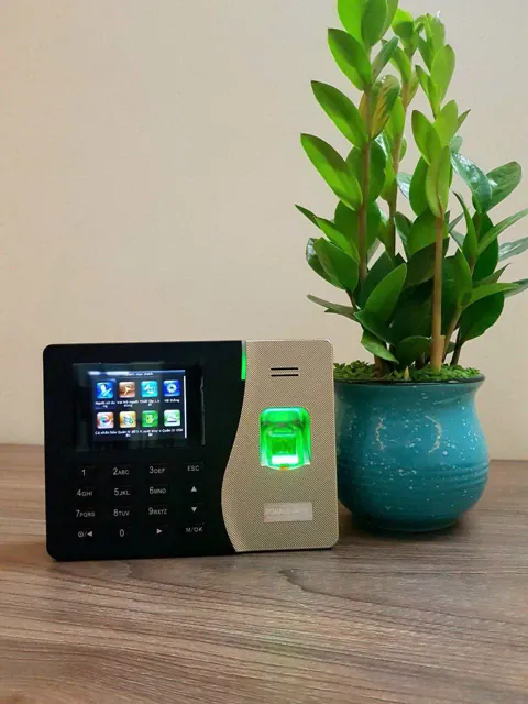 Máy chấm công vân tay màn hình màu đặt trên bàn